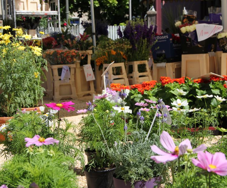 Wochenmarkt Wochenmarkt